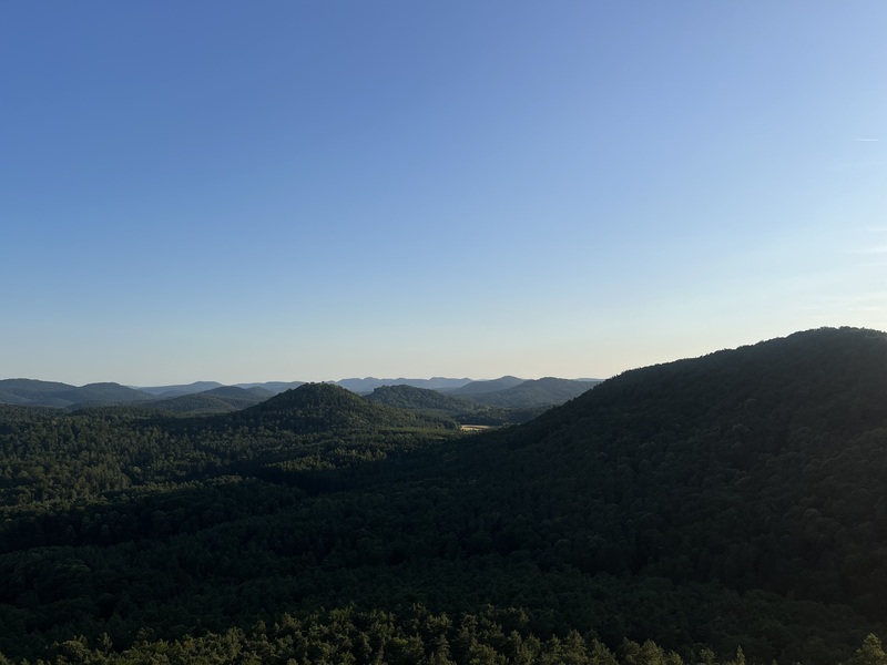 From a hike in the Pfälzerwald, near Lindelbrunn Castle